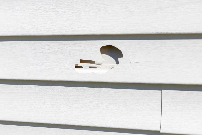 Vinyl Siding Repair - Crack Fix