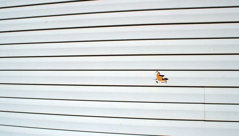 Vinyl Siding Repair - Inspection